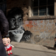 Illustration for article titled Did China's one-child policy actually reduce population growth?